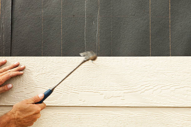Best Aluminum Siding Installation  in Mineral Springs, AR
